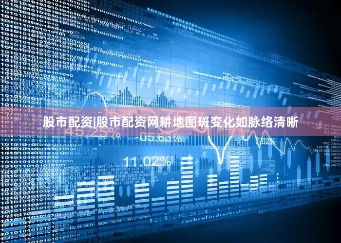 股市配资|股市配资网耕地图斑变化如脉络清晰