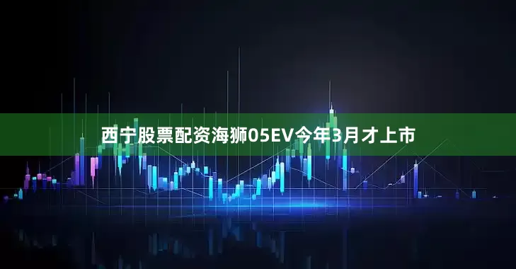 西宁股票配资海狮05EV今年3月才上市