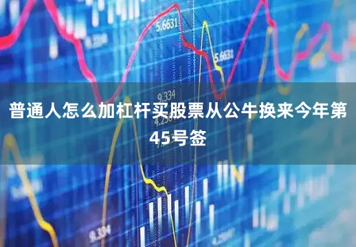 普通人怎么加杠杆买股票从公牛换来今年第45号签