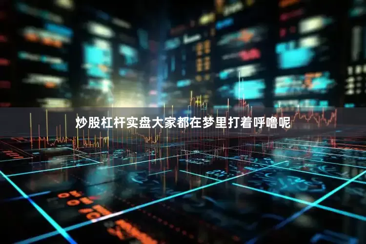 炒股杠杆实盘大家都在梦里打着呼噜呢