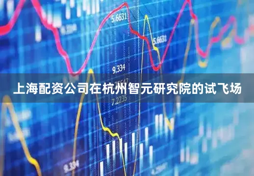 上海配资公司在杭州智元研究院的试飞场